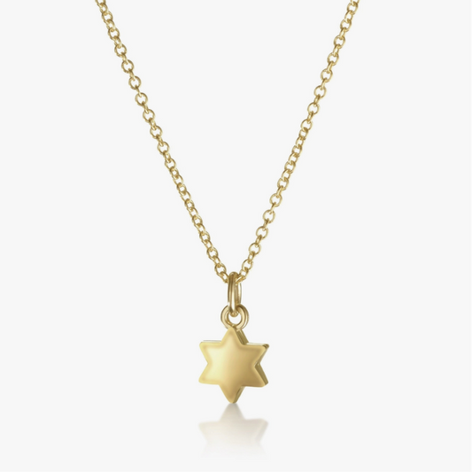 14k Gold Dainty Star of David Necklace